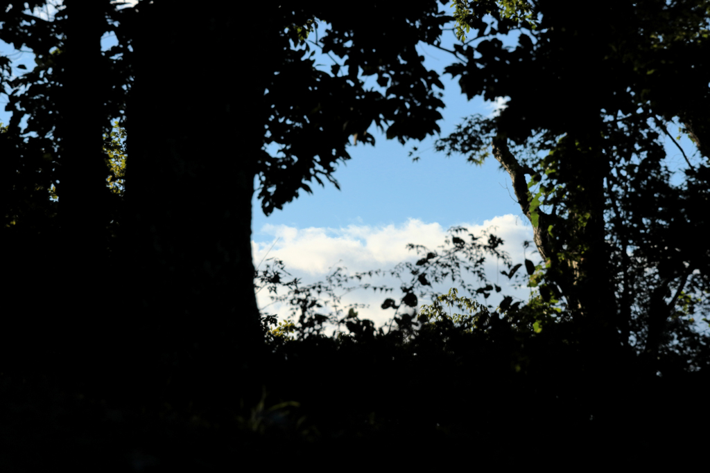 遠くの雲