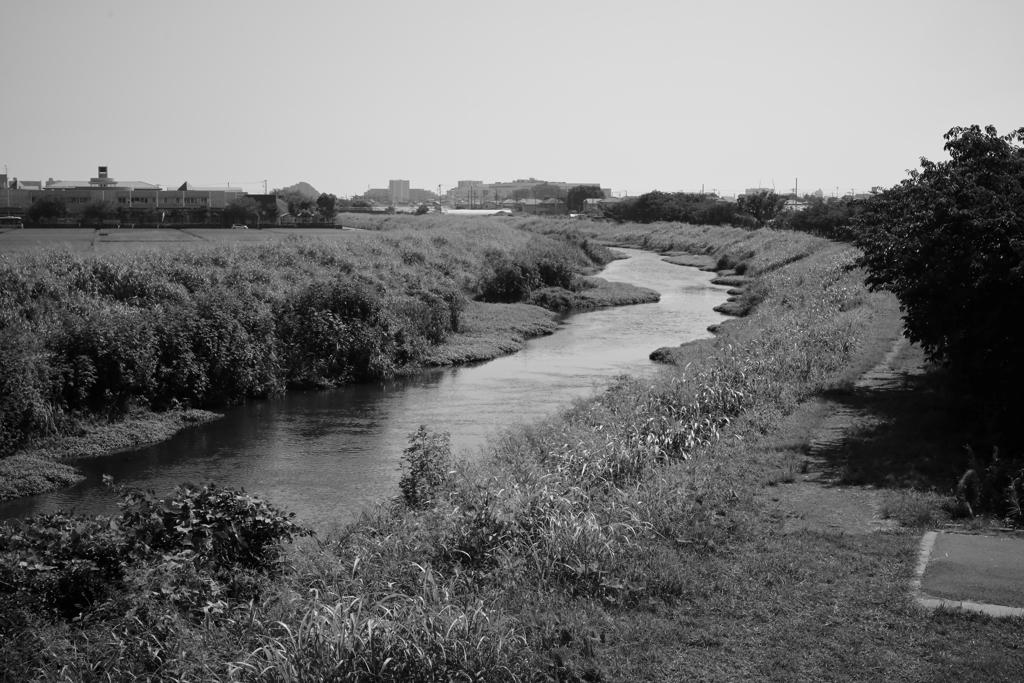 小出川