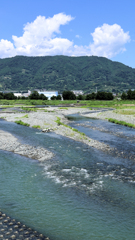 晴天の酒匂川