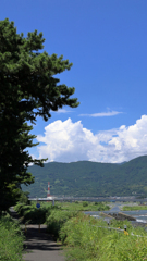 青い空を切り取る