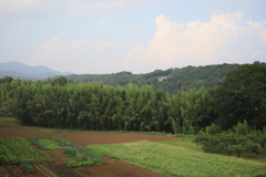 山々と畑と