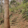 獣道に似た山道