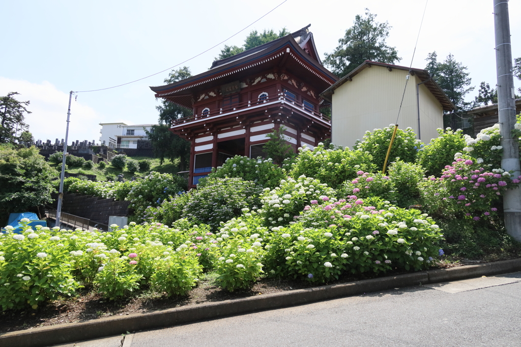 矢名薬師 東光寺