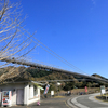 宮ヶ瀬湖畔園地　吊り橋