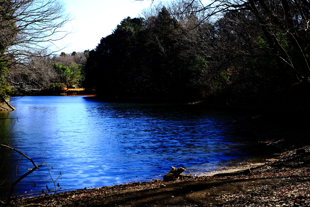 冬の震生湖