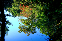 紅葉の始まった震生湖