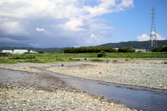 酒匂川の川岸