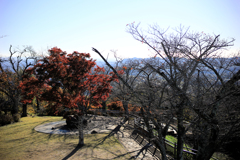 晩秋の弘法山　権現山公園展望台