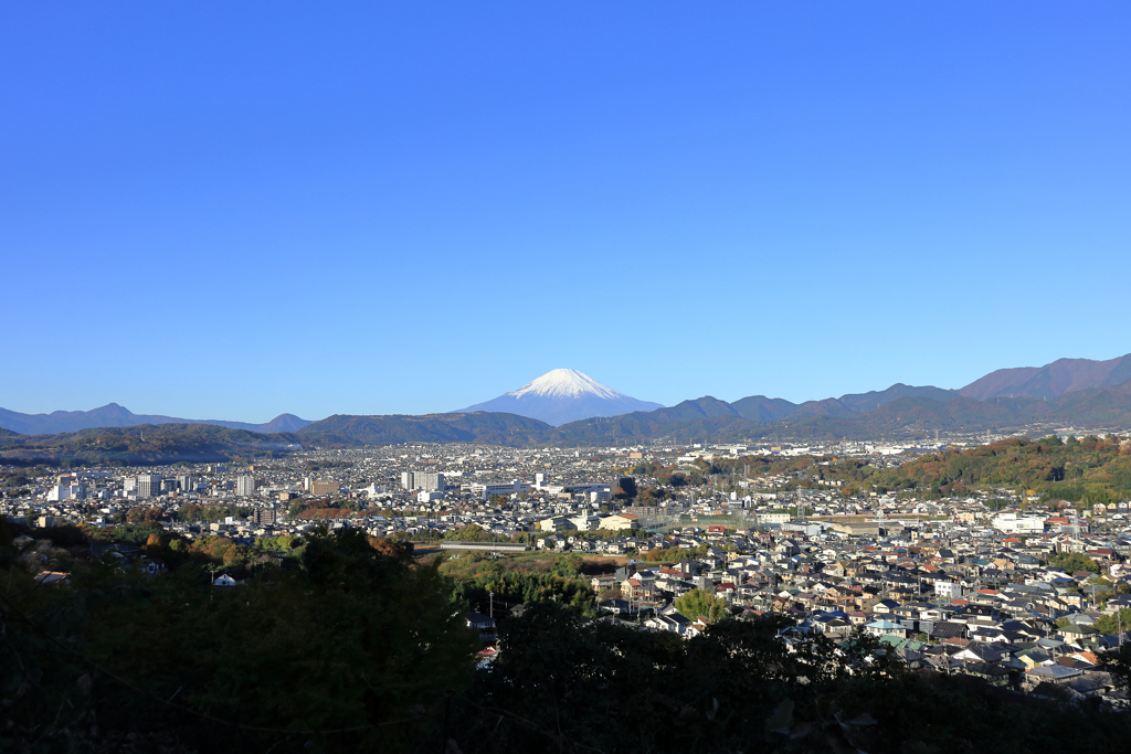 秦野盆地と富士山