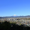 秦野盆地と富士山