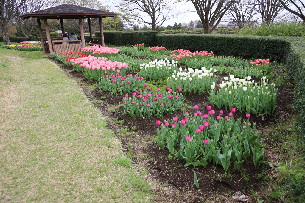 秦野戸川公園