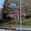 花壇