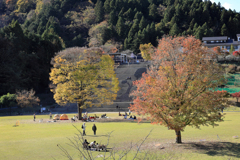 秋の宮ヶ瀬湖