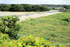 相模川　猿ヶ島の渡し