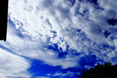 白い雲