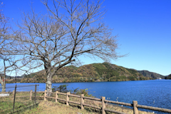 宮ヶ瀬湖畔園地　カフェより眺める