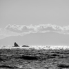 冬の海