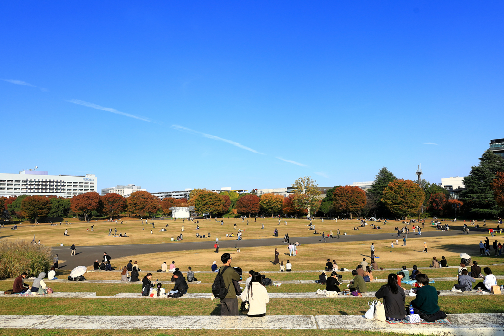 昭和記念公園のゆめひろば