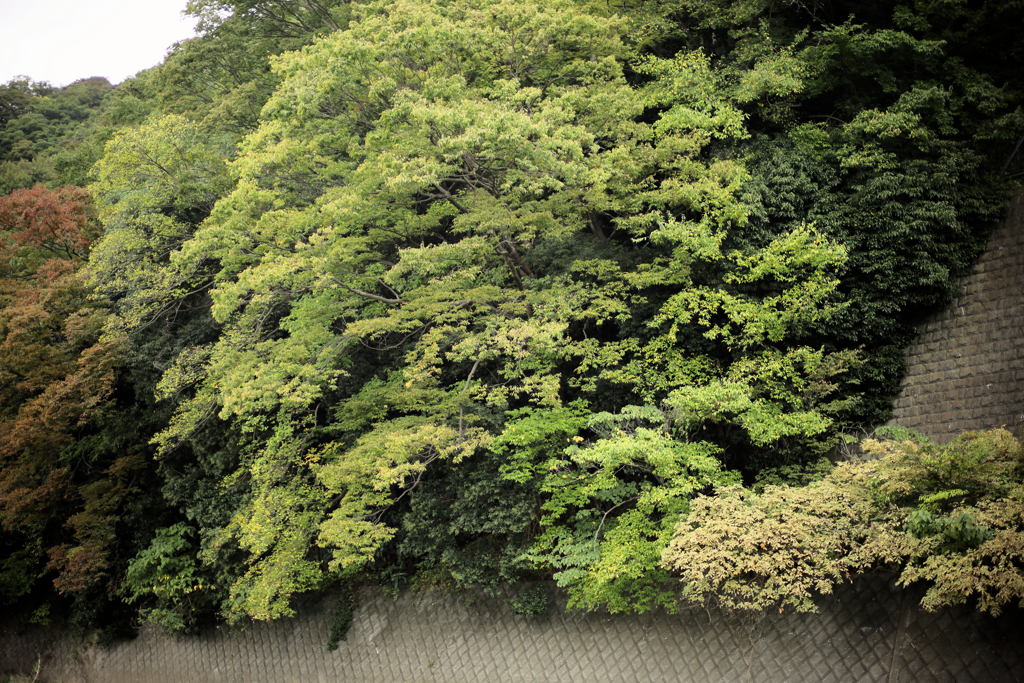 折り重なるように