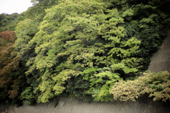 折り重なるように