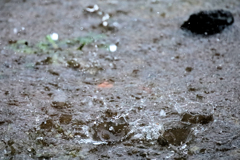 雨の日の楽しみ