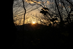 権現山からの夕陽　沈む前