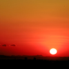 日の出