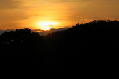 夕陽