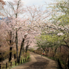 権現山の坂を下る