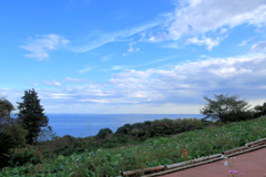 一夜城ヨロイヅカファーム　青空と青い海と