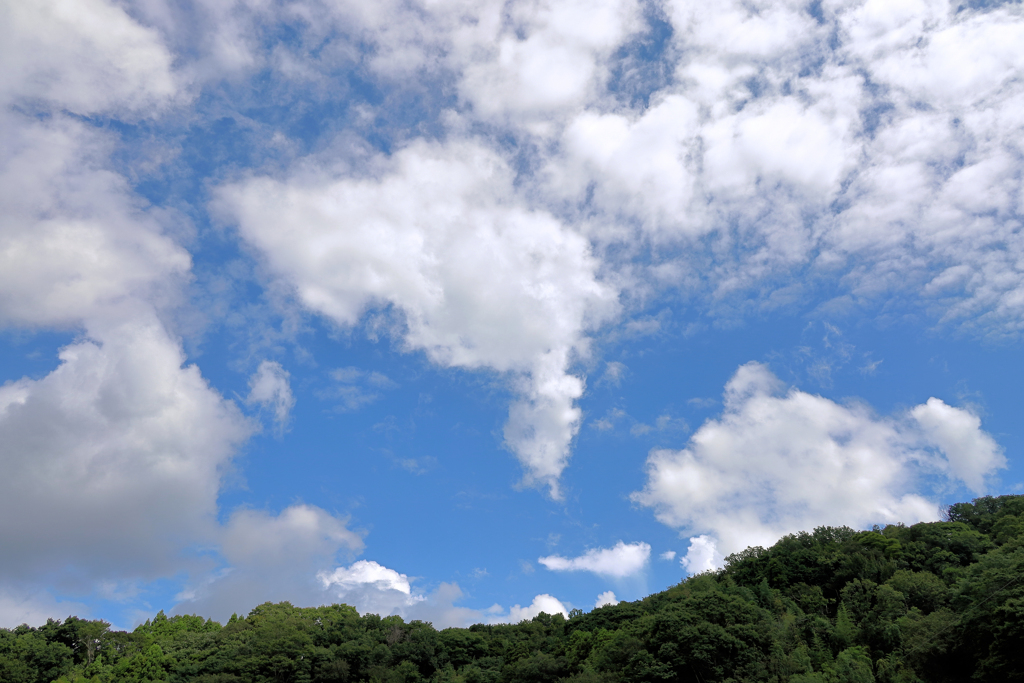 引っ張ってちぎったような雲