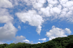 引っ張ってちぎったような雲