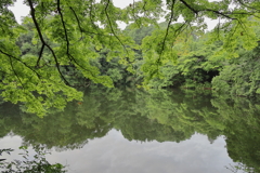 震生湖の鏡面