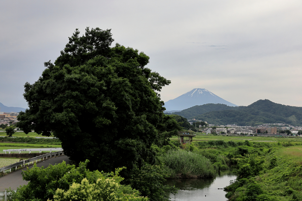 悠々と