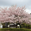 秦野戸川公園