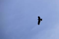 空を飛ぶ