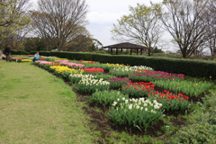 秦野戸川公園