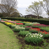 秦野戸川公園