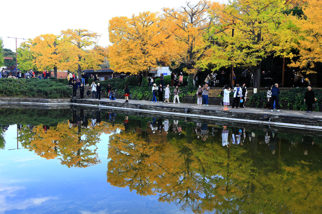 昭和記念公園の池