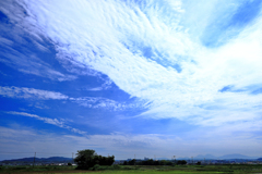 正一位浮島稲荷大明神