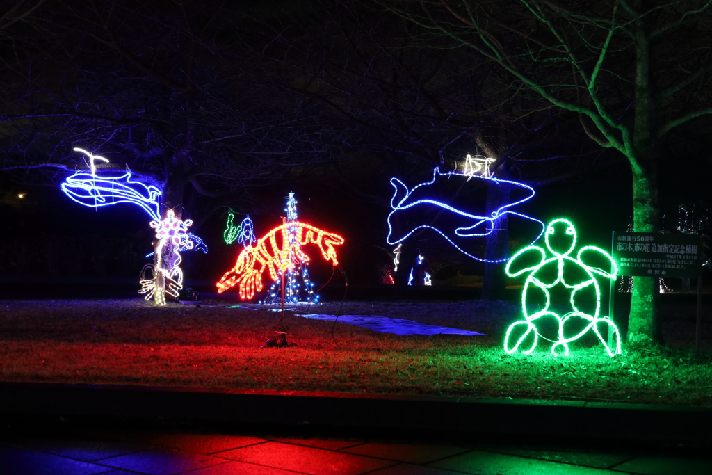 戸川公園のイルミネーション　カメやイルカ