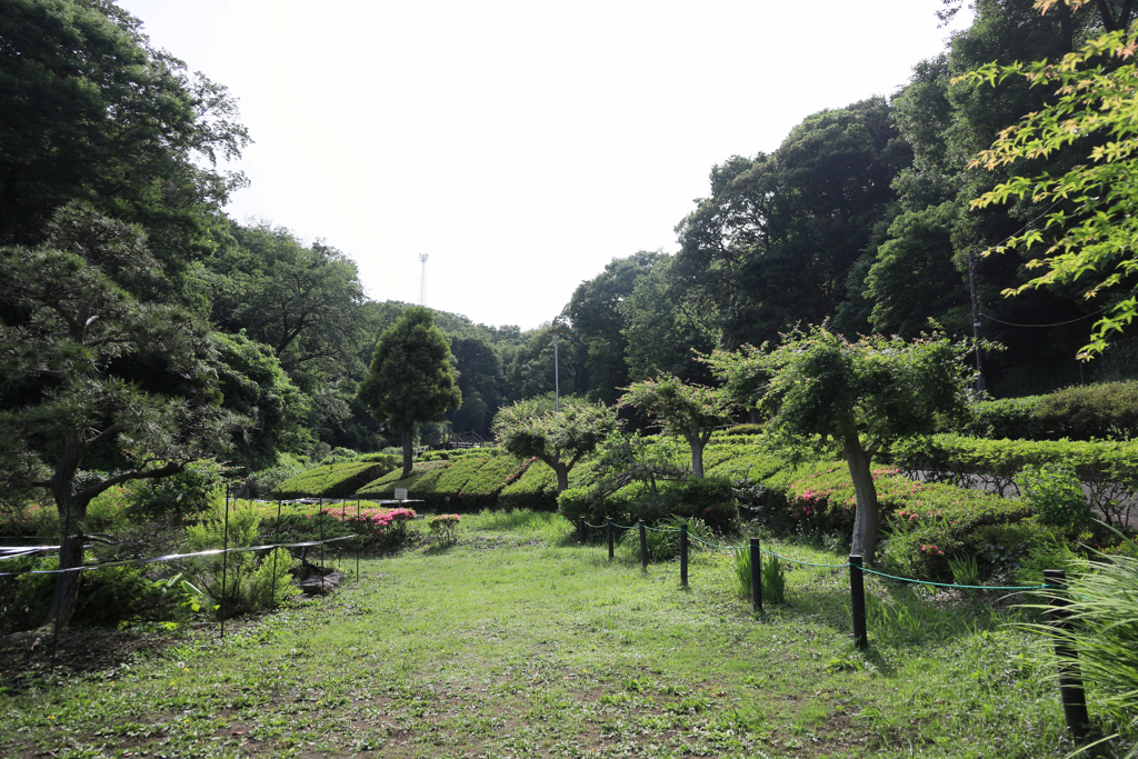 二宮せせらぎ公園　全景