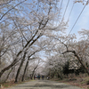 馬場道の春