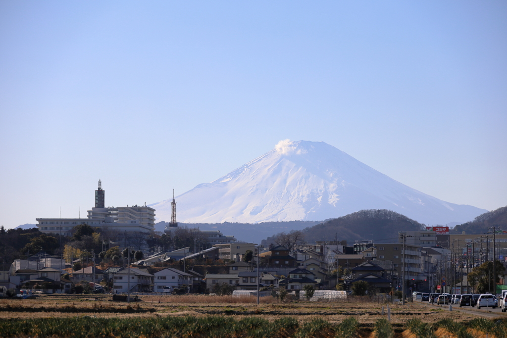 雪化粧の富士山