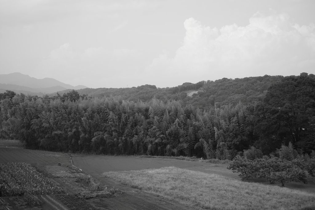 山々と畑と（グレースケール）