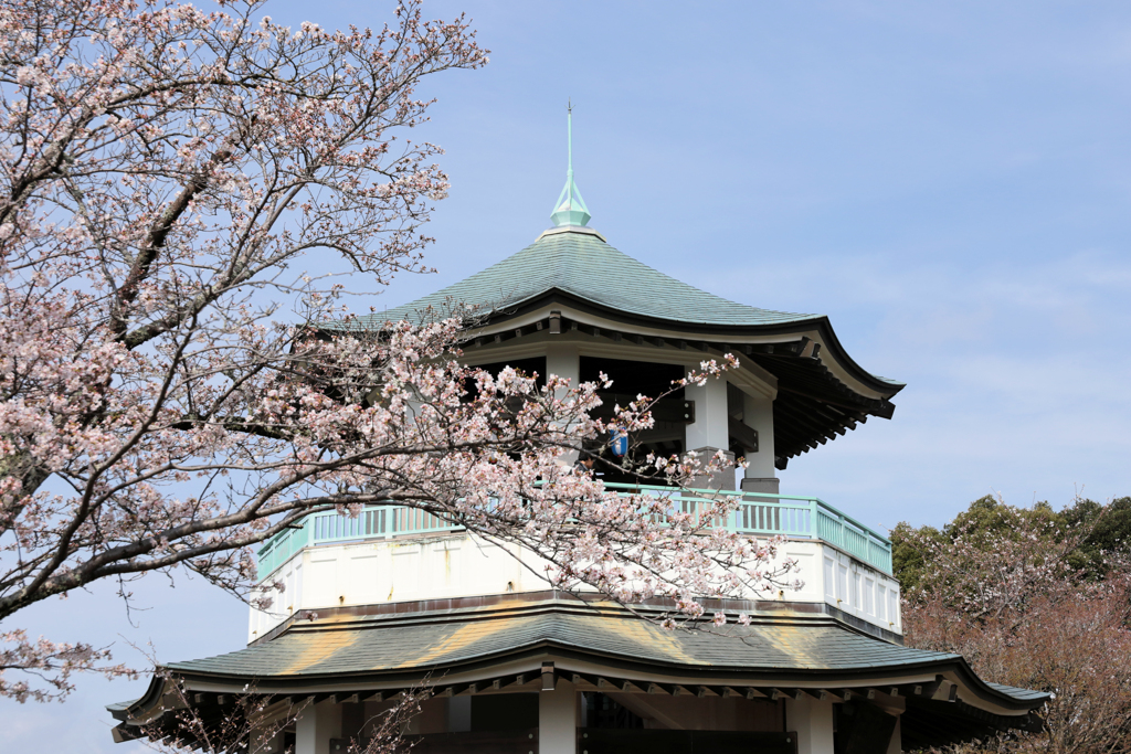 権現山の春