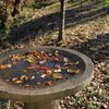 弘法山公園の紅葉