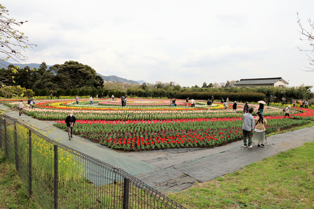 秦野戸川公園