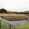 秦野戸川公園