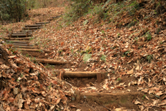 獣道に似た山道